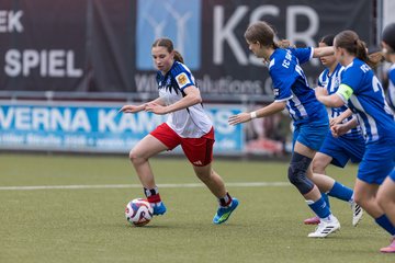 Bild 329 - wBJ Hamburger SV - FC Suederelbe : Ergebnis: 9:0